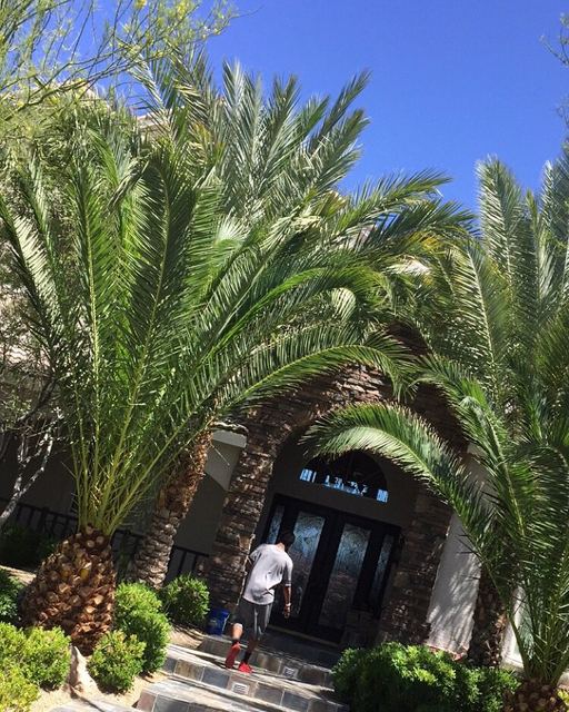 Arched Entranceway — Restaurant/Hotel Setting