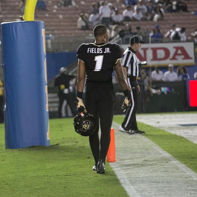 'FIELDS JR.' — Black/Gold #1 Game Day Stadium Portrait
